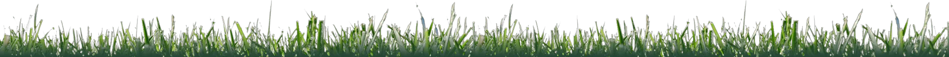 landscape-maintenance-37
