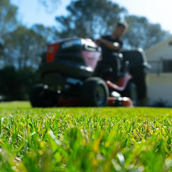 landscape-maintenance-41