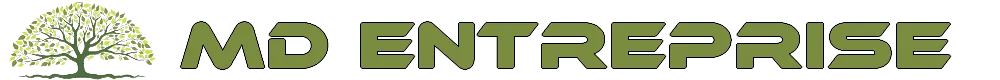 logo typo sans fond 80 1000